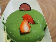 -狐狸和向日葵(北京路店)