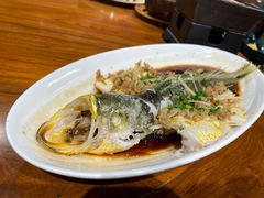 老坛冬菜蒸黄鱼-老广酒楼(樱花店)