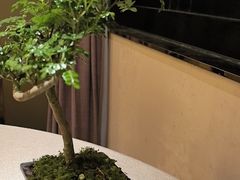 -上海皇廷花园酒店·御宴中餐厅