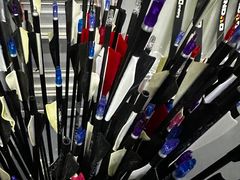 -蓝天射箭馆·专业射箭运动(诚丰广场店)