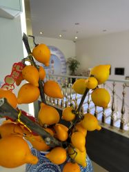 -名媛颜蕙·LPG官方旗舰店
