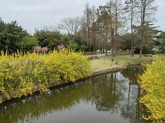 -上海滨江森林公园