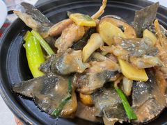 鸭嘴鱼—鱼三味之煮-顺德美食坊(南沙分店)