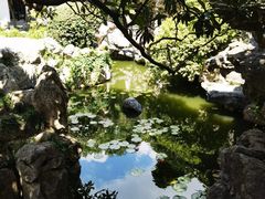 -何园
