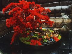 -红辣椒·川菜·火锅(张杨路店)