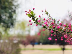 -沙澧河风景区