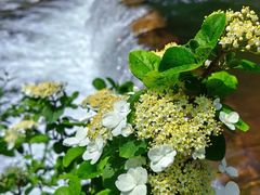 -天台山琼台仙谷景区