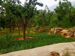 -阳台山自然风景区