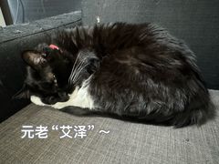 -艾泽瑞斯图文快印打印复印证件照设计名片画册(艾泽瑞斯打印复印洗照片店)