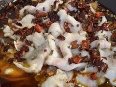 -金三可市井水煮鱼(金碧园店)