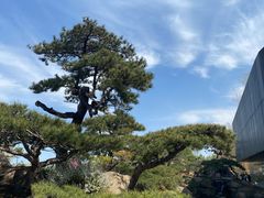 -罗红摄影艺术馆