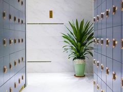 -威蒂斯国际健身游泳会所(东莞庄路店)