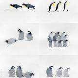 水彩笔中的企鹅🐧，可爱极了[亲亲]！