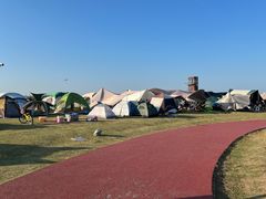 -春花秋色城市公园