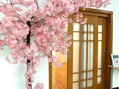 -成都濑川外国语学校