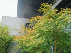 -一板铁板烧·隐秘一线江景花园餐厅(西湖左岸·天元店)