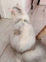 -Beauty Nails 美甲美睫皮肤管理