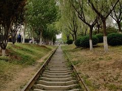 -永定河休闲森林公园