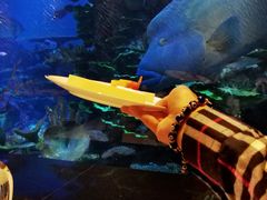 -迪拜帆船酒店海底餐厅