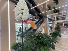 -凯德MALL(望京店)