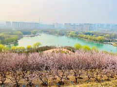 -河北省园博园
