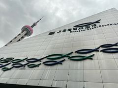 -上海海洋水族馆