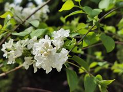 -白塘生态植物园