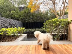 -上海崇明金茂凯悦酒店