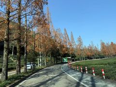 -春娟茶楼·地道农家菜(梅家坞店)
