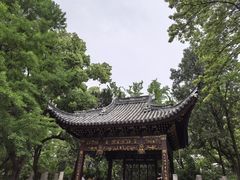 -汇龙潭
