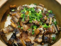 -红星光发煲仔饭(文海店)
