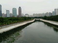 -万绿园