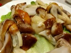 -秦池天下特色火锅(东葛望园店)