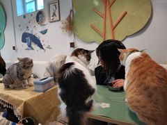 -小时光咖啡馆(北锣鼓巷店)