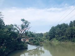 -清境桃源