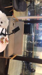 -丫丫NAIL日式自助美甲美睫沙龙