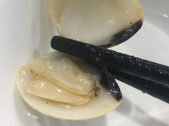 -顺德哥卜卜贝(旗舰店)