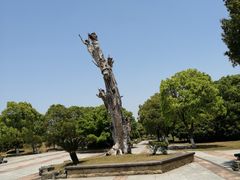 -漕湖湿地公园