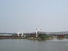 -上海鲜花港