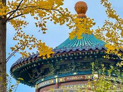 -迎泽公园