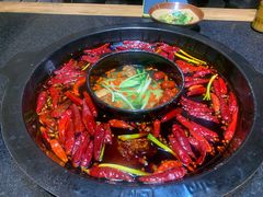 红油锅底-渝大狮毛肚老火锅(普陀店)