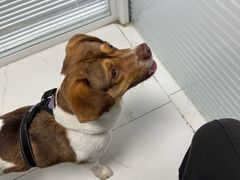 -纳吉亚猫专科动物诊疗中心(蒋宅口分院)