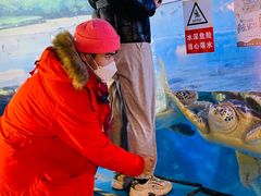 -烟台海昌鲸鲨海洋公园