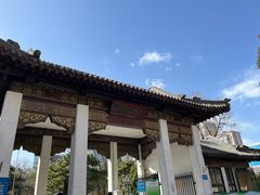 -团结湖公园