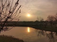 -东郊湿地公园