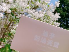 -好利来(鲁谷店)