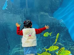 -福州罗源湾海洋世界旅游区