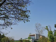 -铁山坪森林公园