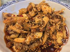 -龙翔山庄雷鸡肉(青城后山泰安古镇店)
