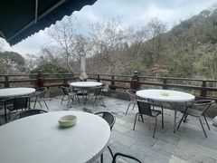 -龙井壹号·茶缘山景宴(龙井村店)
